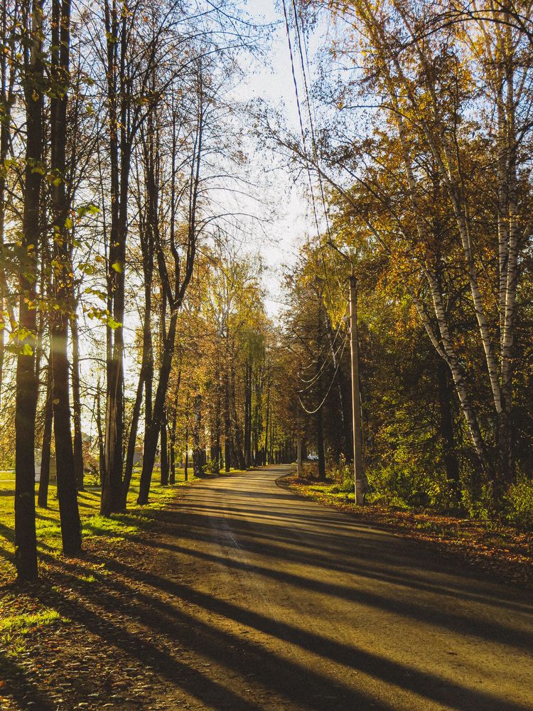 Photograph by Дарья Овсянникова