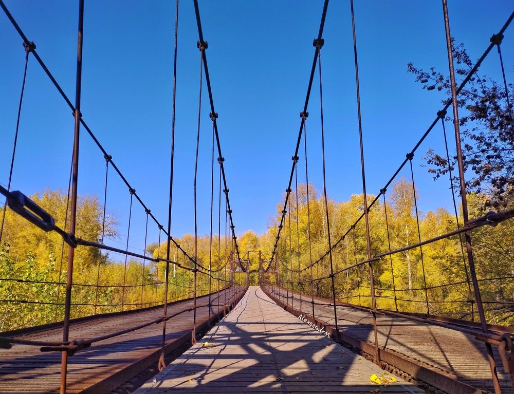 Photograph by Mor Alex