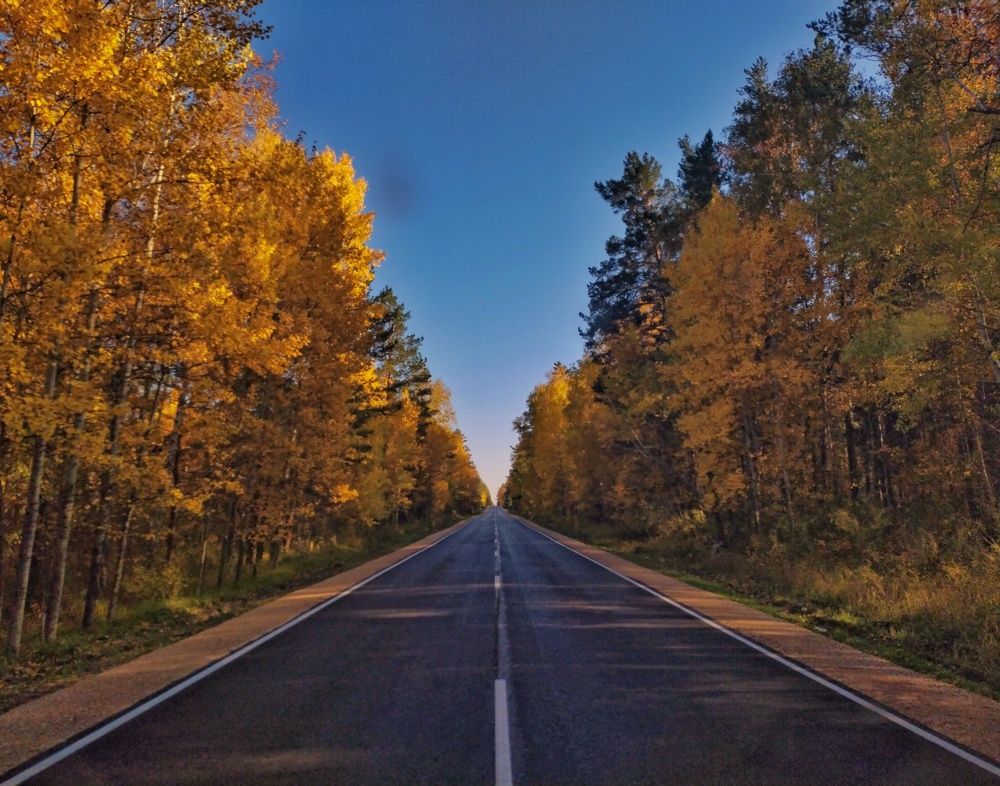 Photograph by Mor Alex