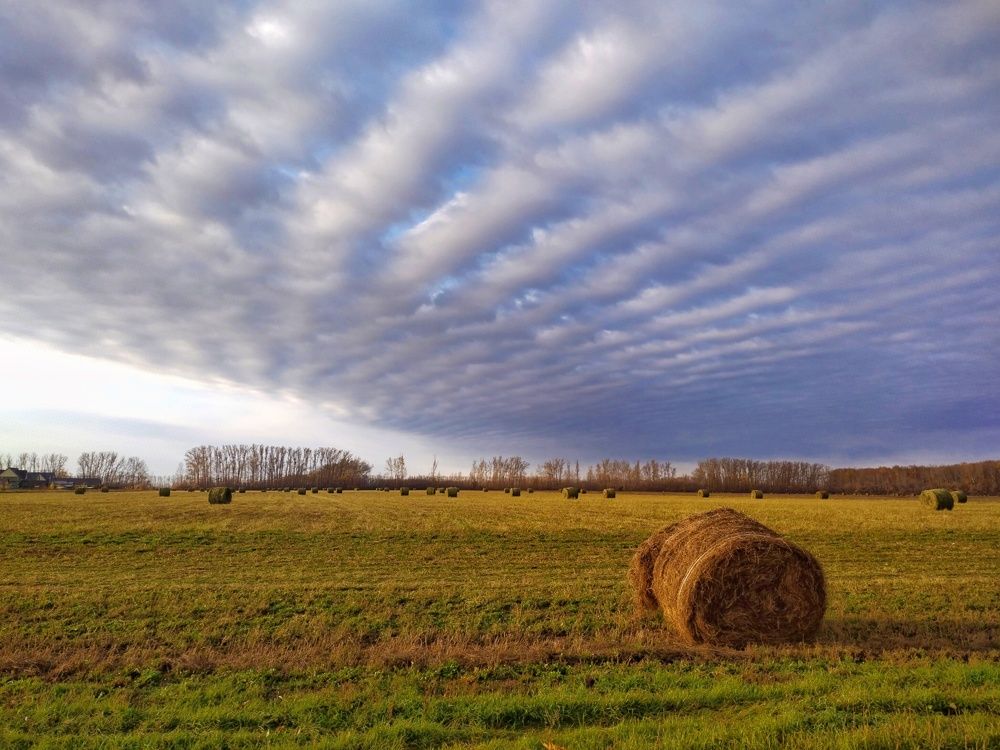 Photograph by Mor Alex