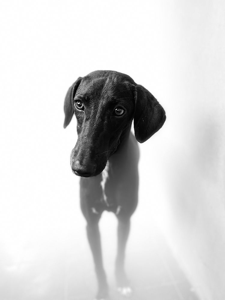 Фотография автора Saikiran Kesari