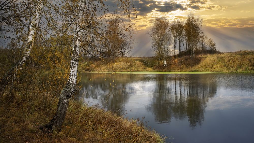 Photograph by Людмила Железнова