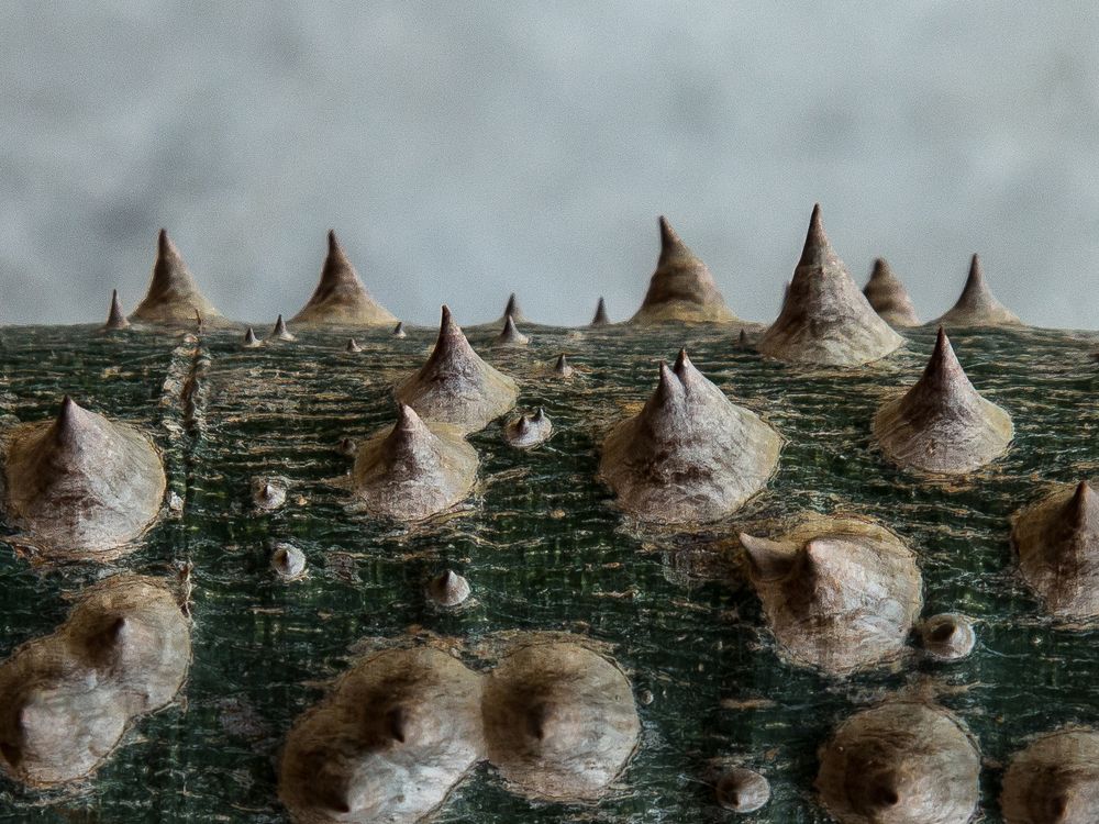 Photograph by Евгения Булычёва