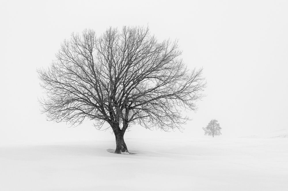 Фотография автора Евгений Иванов