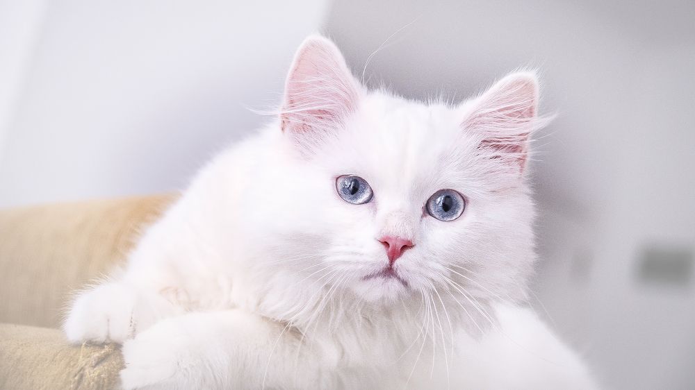 Photograph by Андрей Калинин