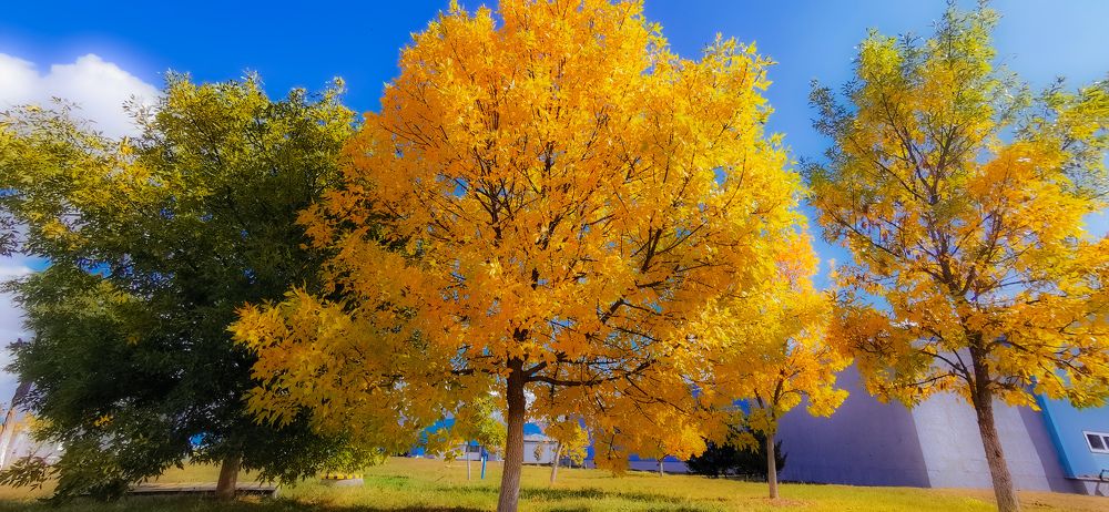 Photograph by Denitsa Dimitrova