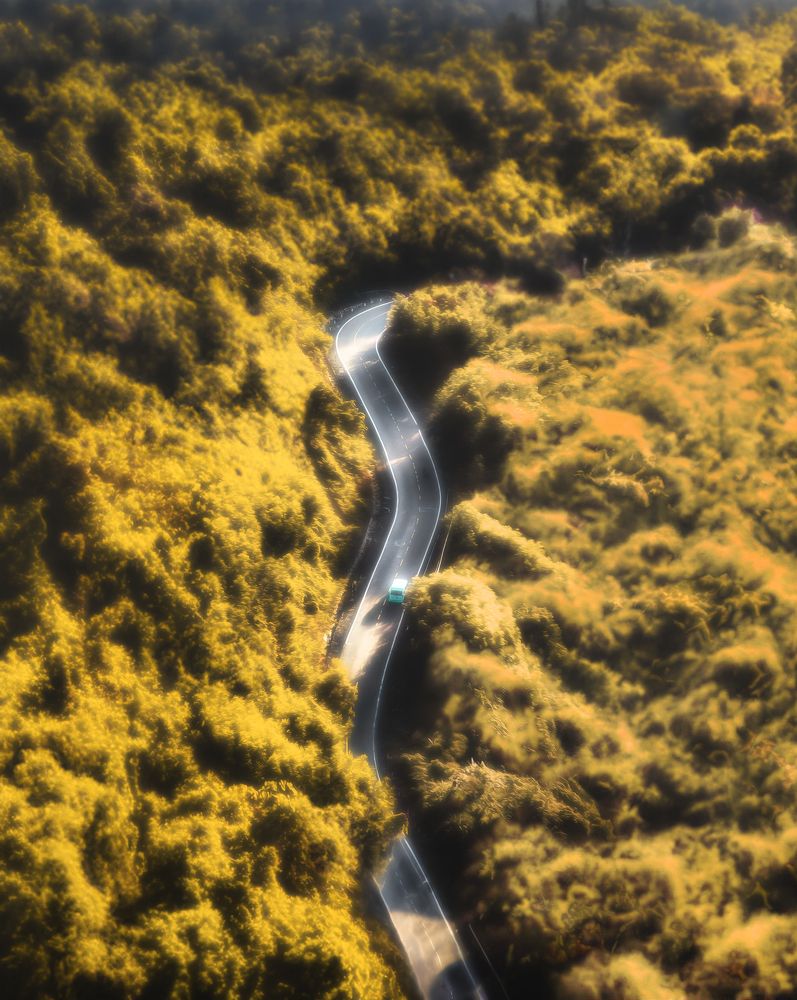 Photograph by Tran Khoa