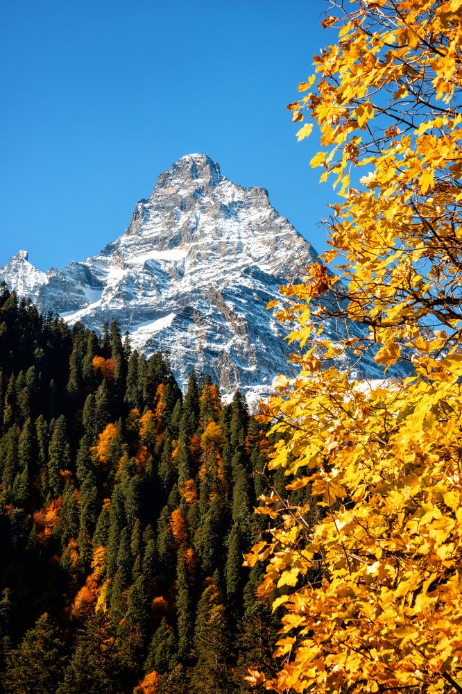 Photograph by EKATERINA WALTER