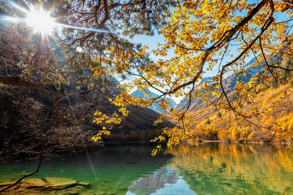 Photograph by EKATERINA WALTER