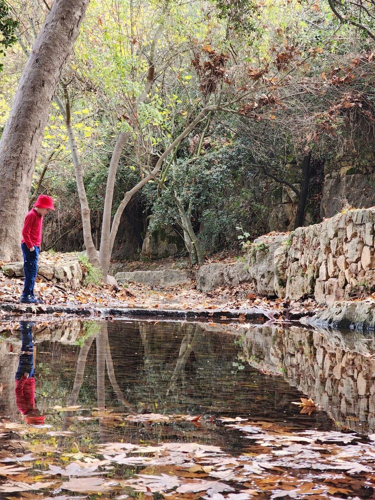 Photograph by esti lahat