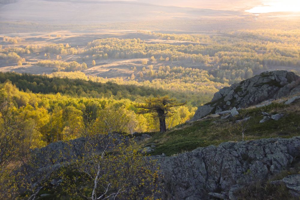 Photograph by Галина Ильясова