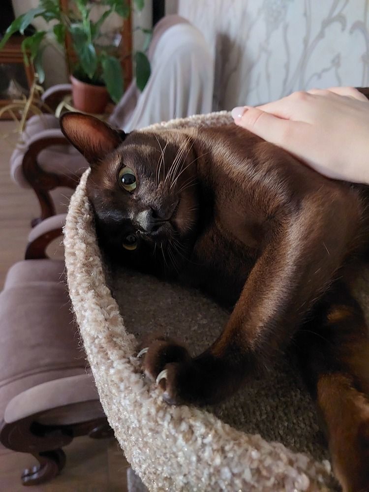 Photograph by Кристина Сысоева