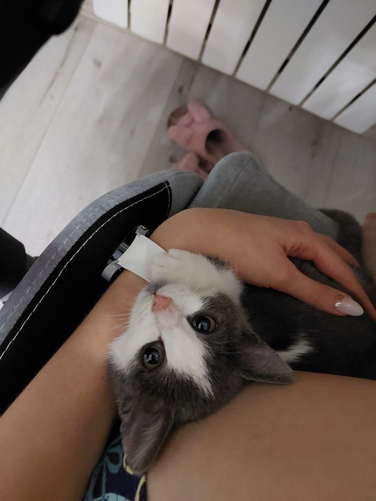 Photograph by Кристина Сысоева