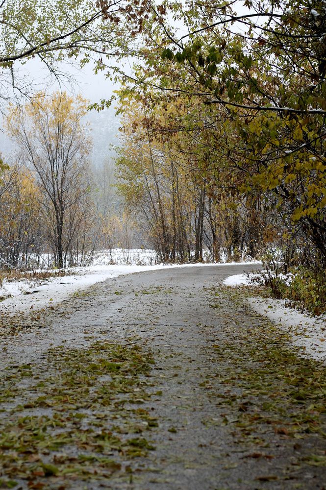 Фотография автора Любовь Харина