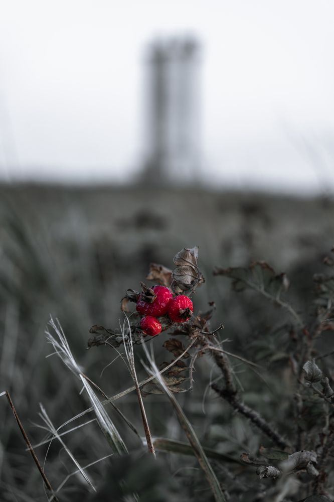 Photograph by Сидоров Антон