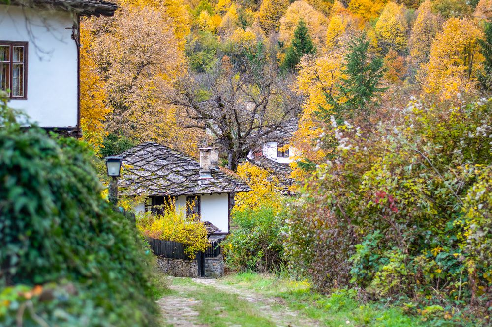 Photograph by Иво Йорданов