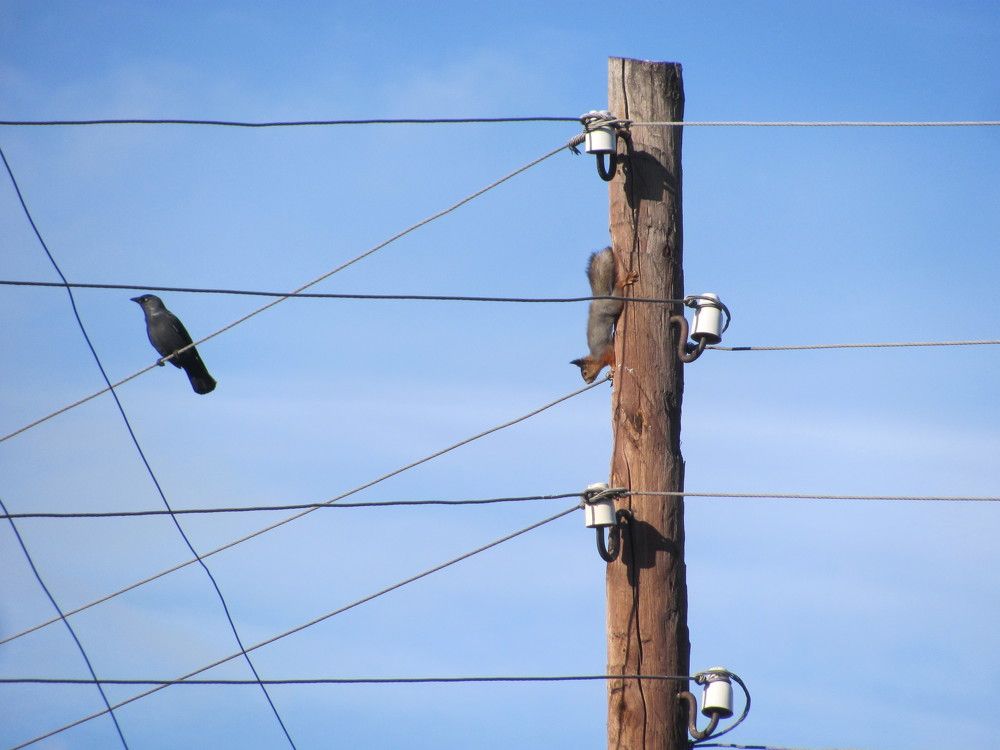 Photo #9717028