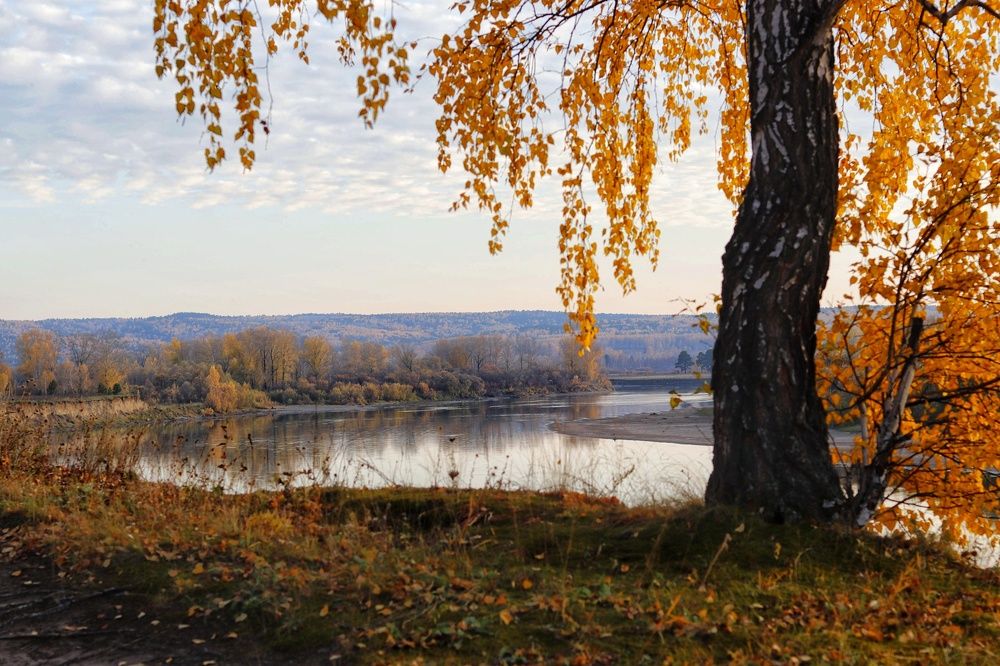 Photograph by Ольга Саенко