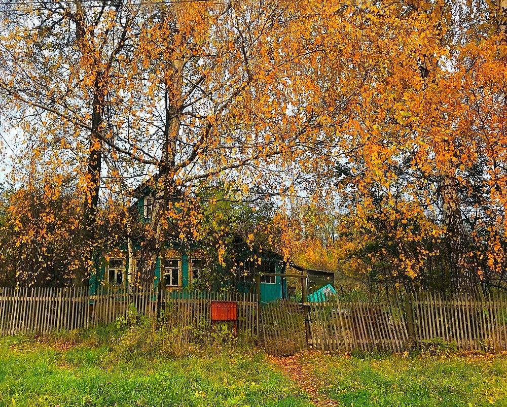 Домик в деревне.