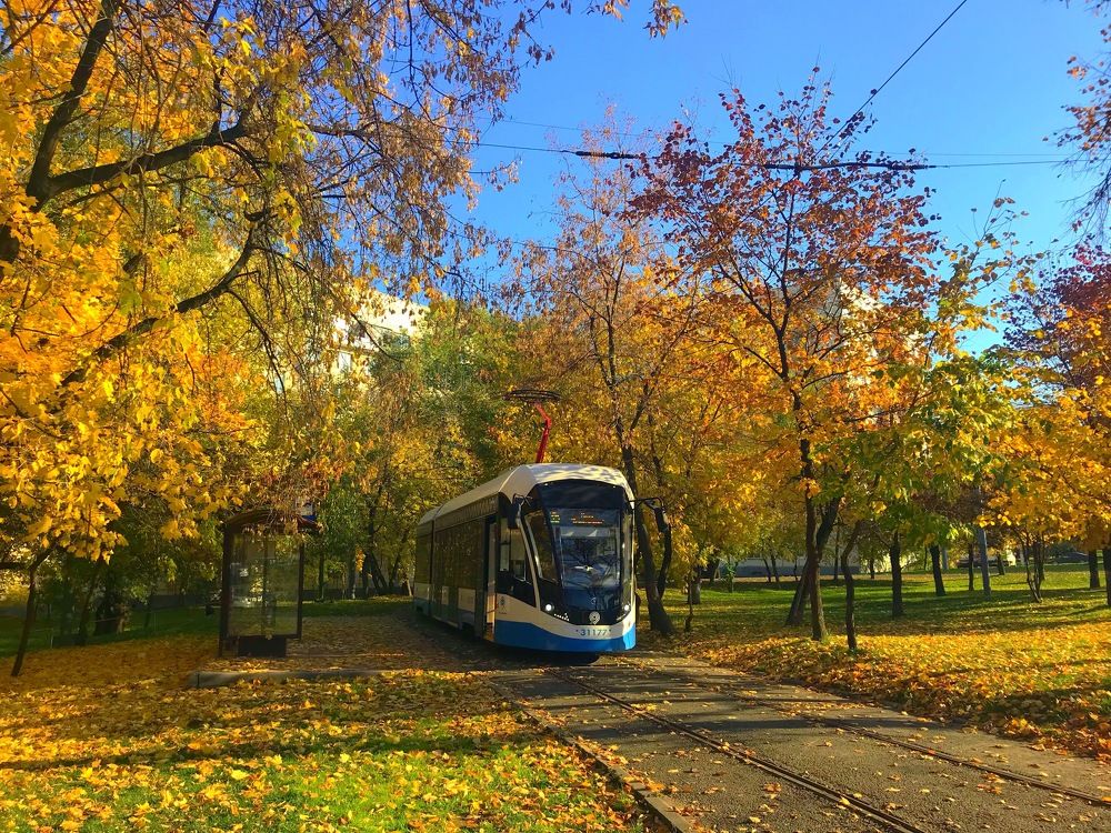 Конечная остановка- Осень.