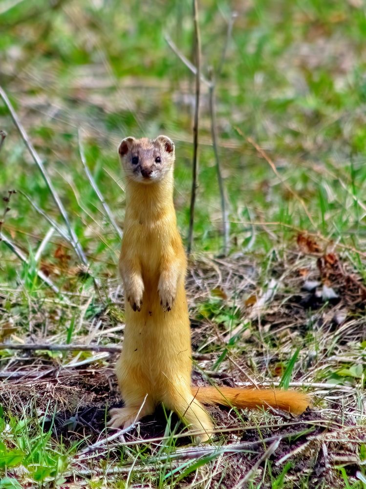 Photograph by Кузнецов Дмитрий