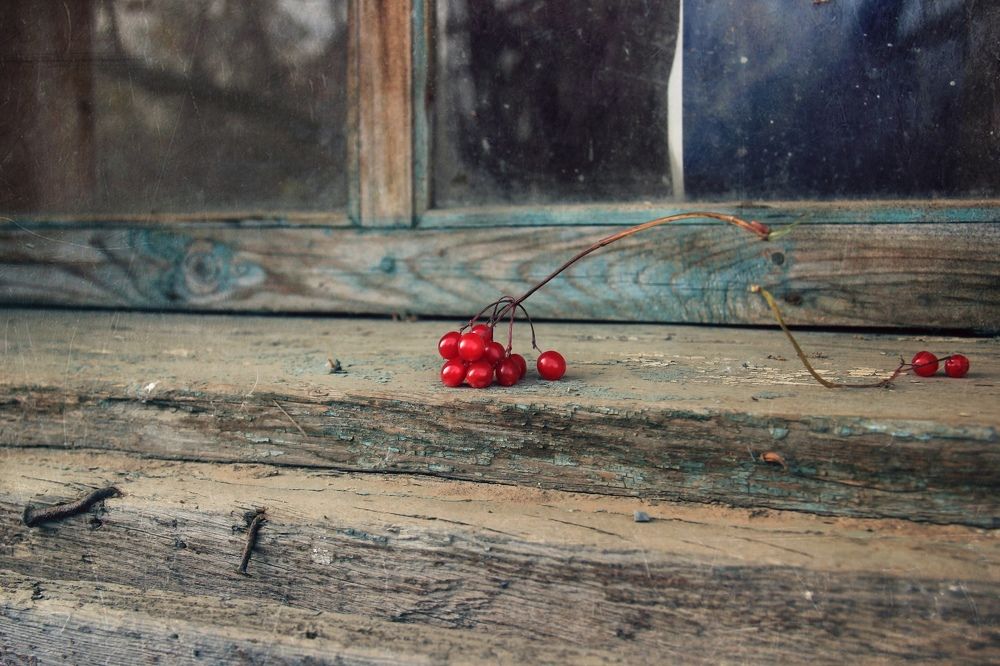 Photograph by Ольга Кочнева