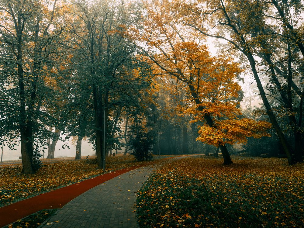 Фотография автора Amir H. Bakhtiari