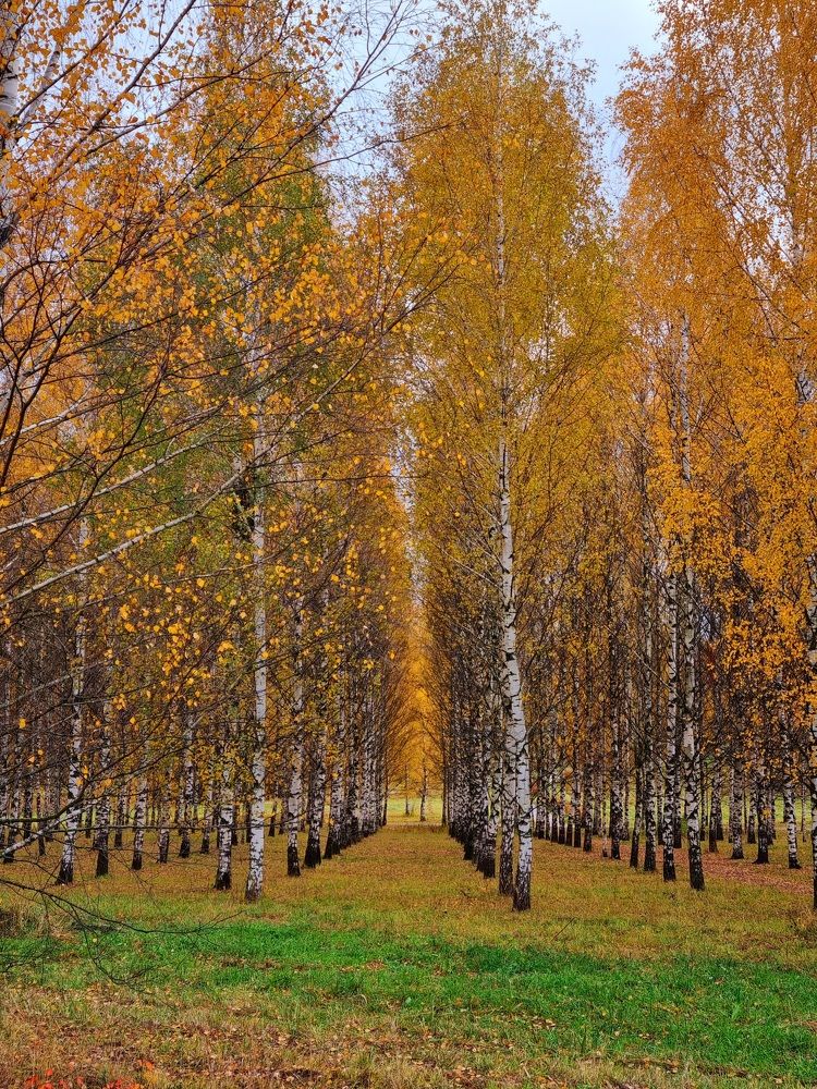 Photograph by Ангелина Шикина