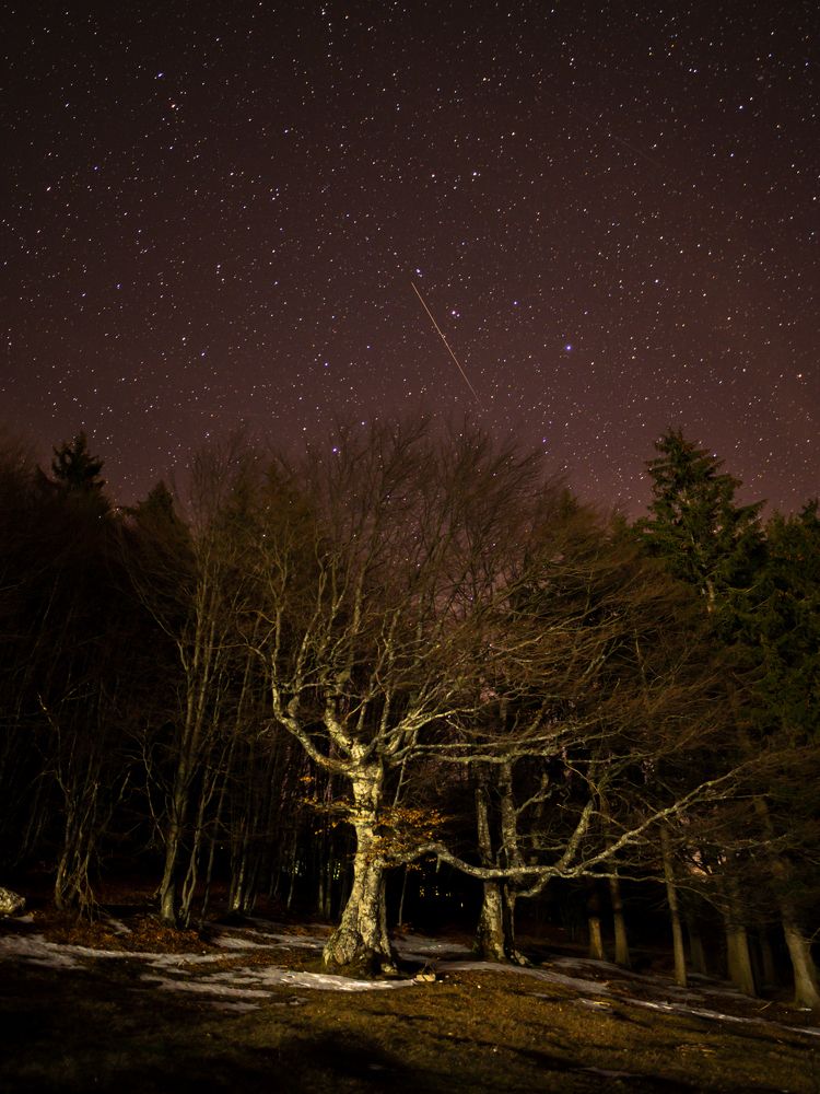 Photograph by Иво Йорданов