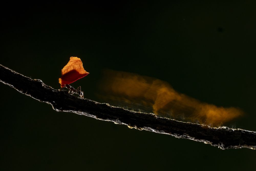 Photograph by Esteban Argerich