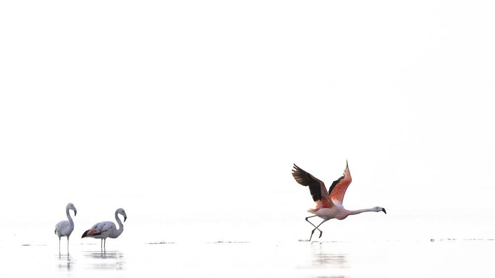 Photograph by Esteban Argerich