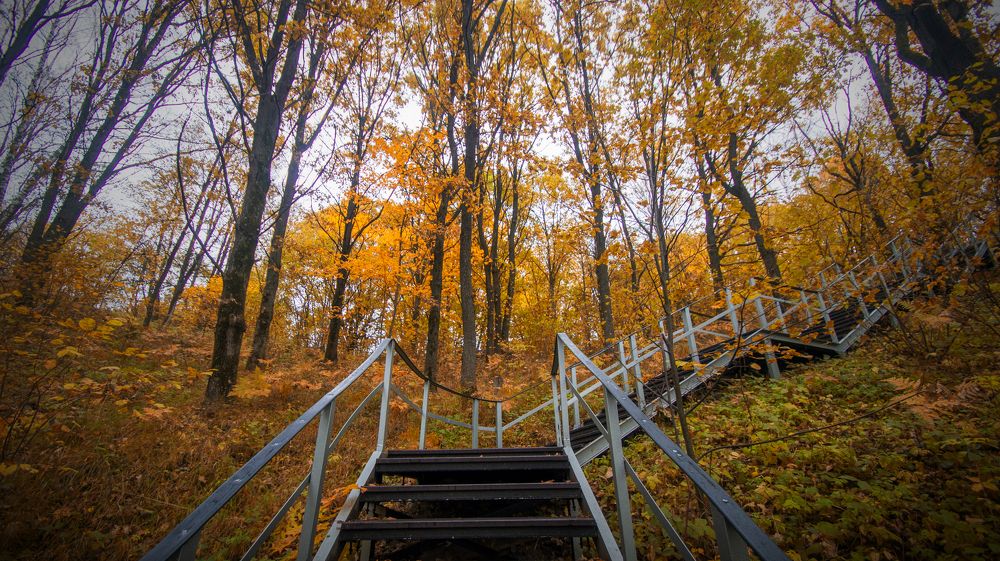 Photograph by Андрей Семенченко