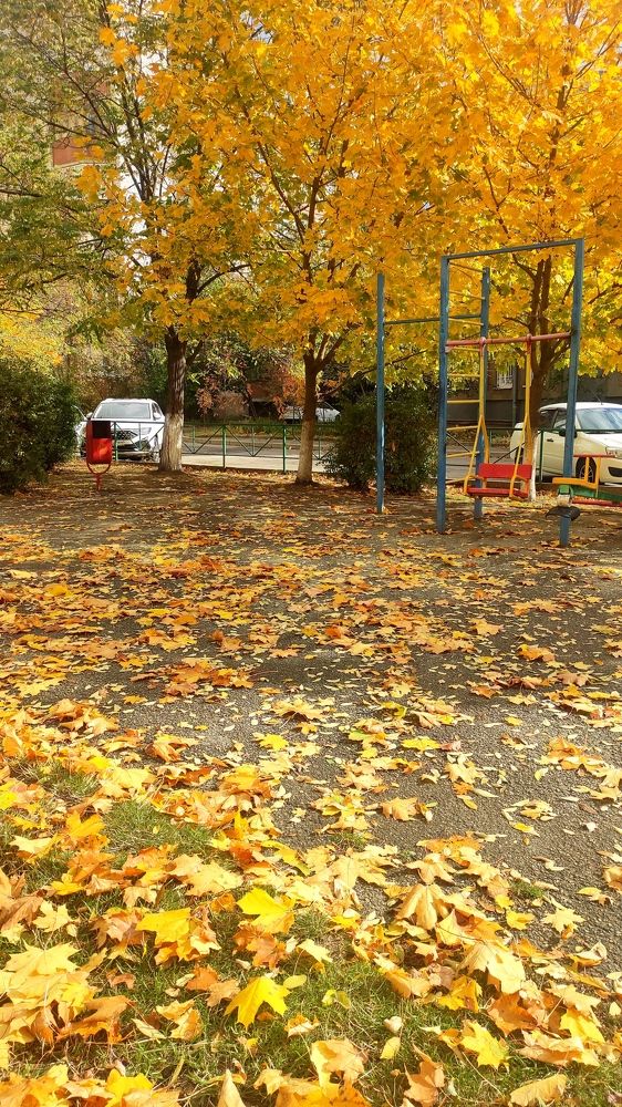 Photograph by Ирина Подосинникова