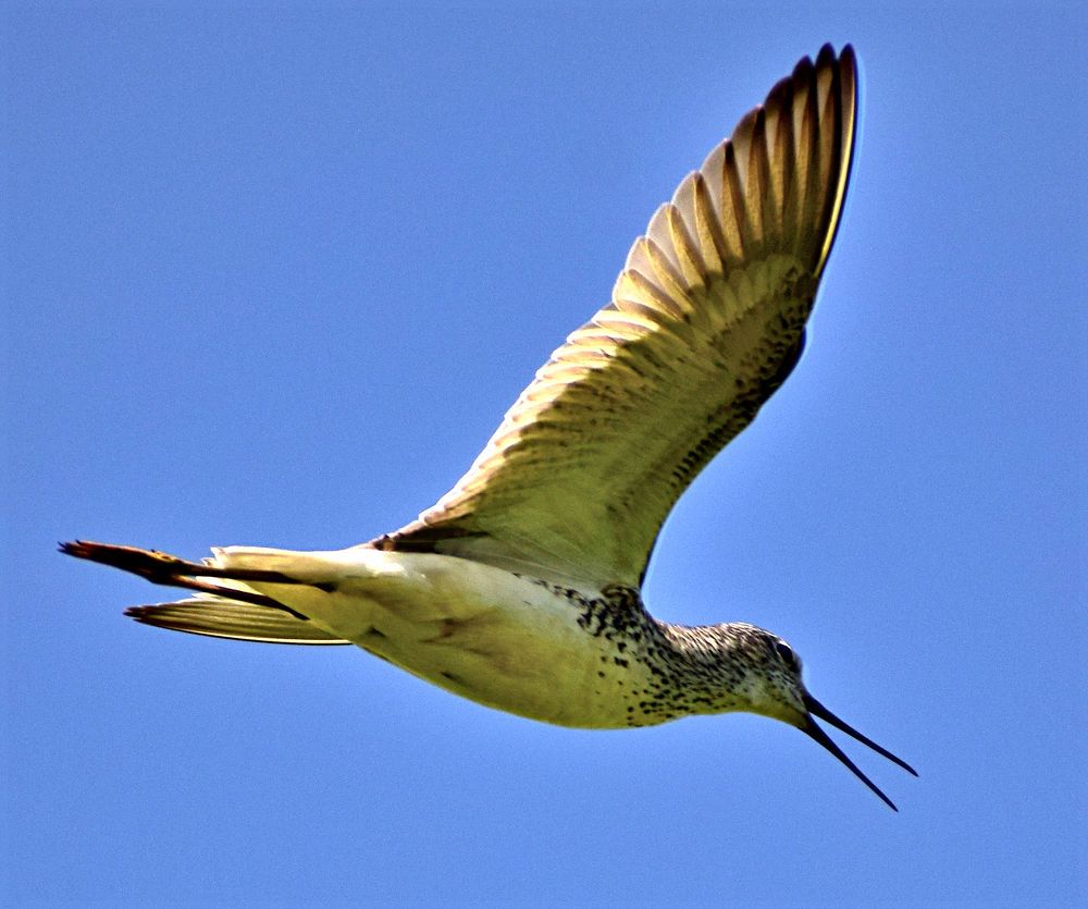 Photograph by Александр Шувалов
