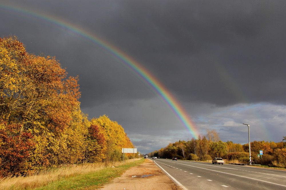 Дорога в осень