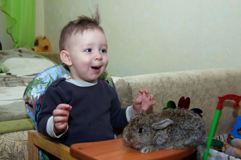 Photograph by Анатолий Святой