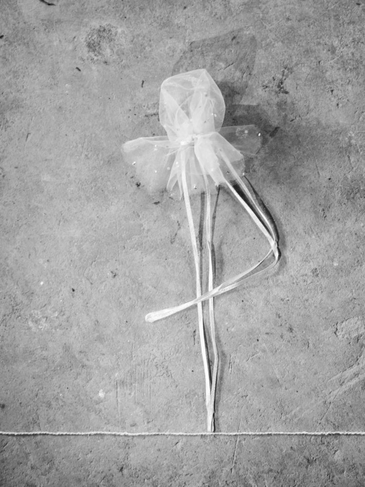 Фотография автора Suarez Silva Malva