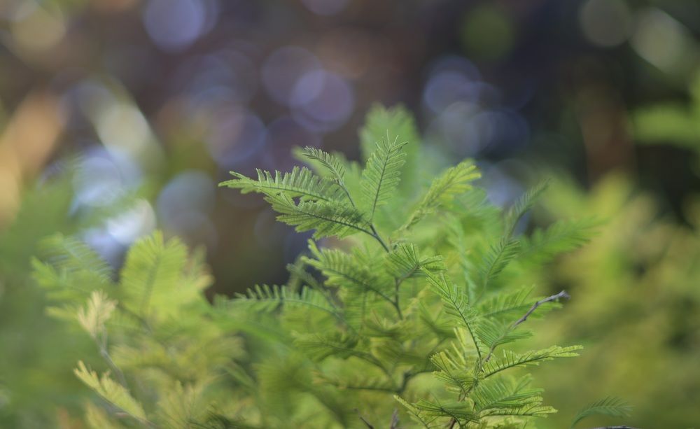 Photograph by Николай Николай