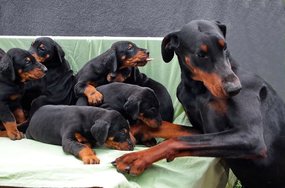 Photograph by Анатолий Святой