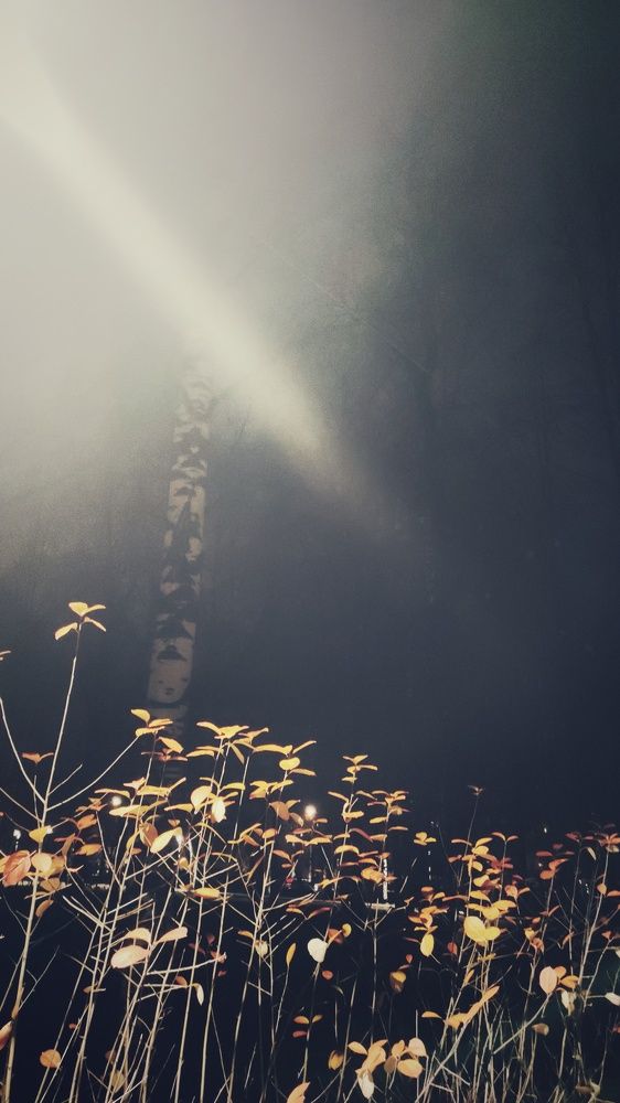 Photograph by Наталья Калюнова