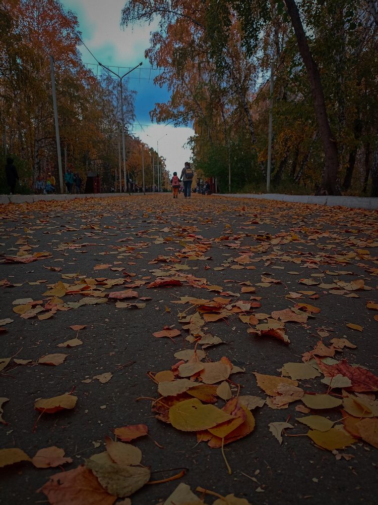 Photograph by Сергей Зеркалий