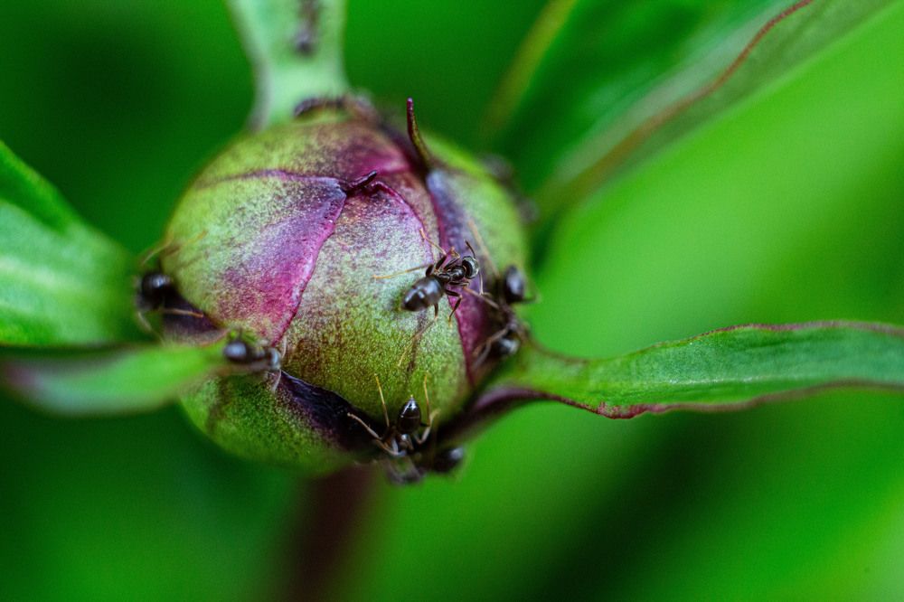 Фотография автора Тамара Нижельская