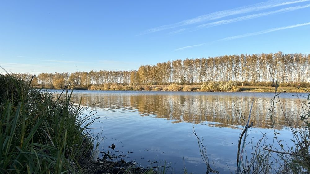 Photograph by Елена Гущина