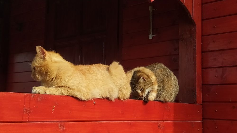 Photograph by Виталий Грачёв