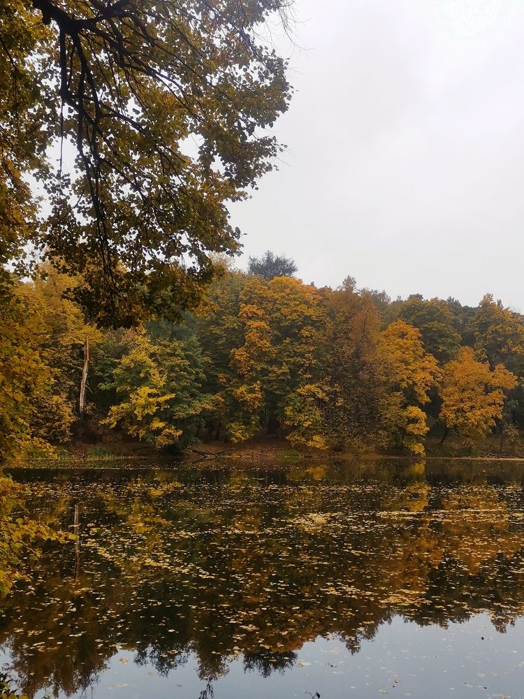 Photograph by Татьяна Антипова