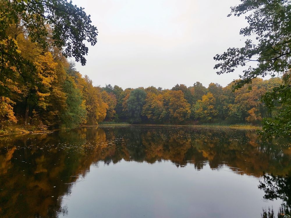 Photograph by Татьяна Антипова