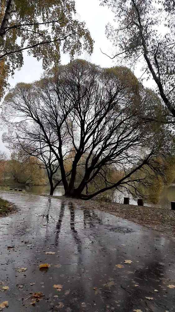 Photograph by Виктория Образцова