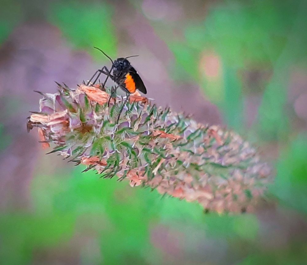 Photograph by Екатерина