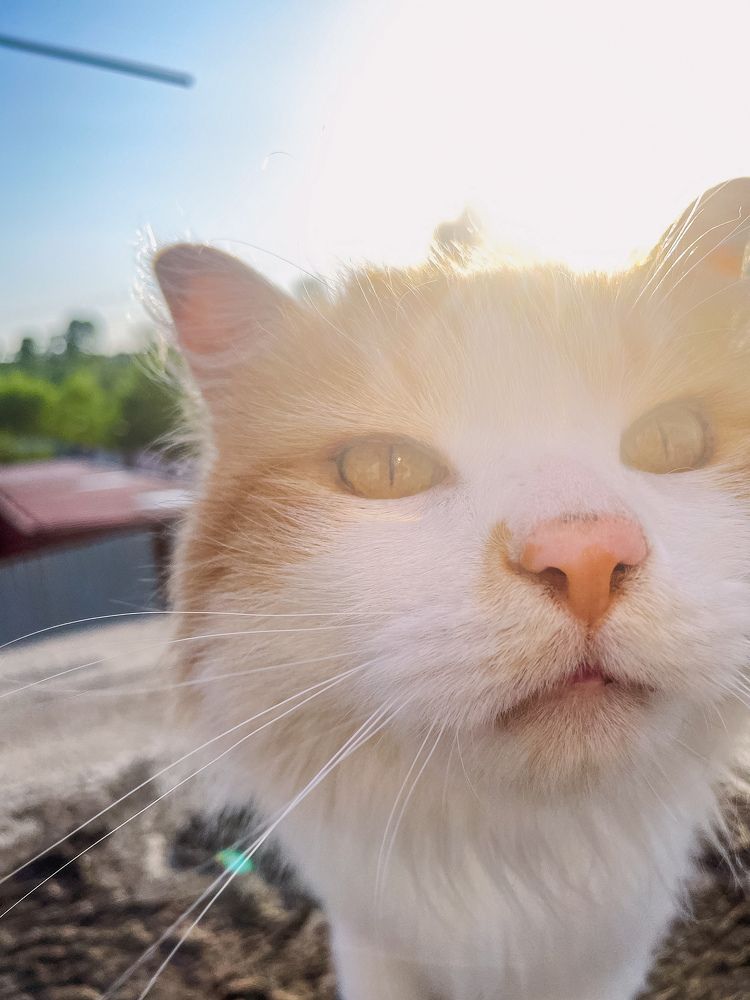 Photograph by Katerina Mak