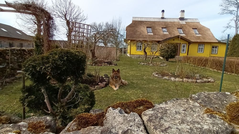 ДЕРЕВЕНСКИЕ ЗАРИСОВКИ